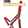 Licol Personnalisable