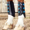 protections de cross premiere equine